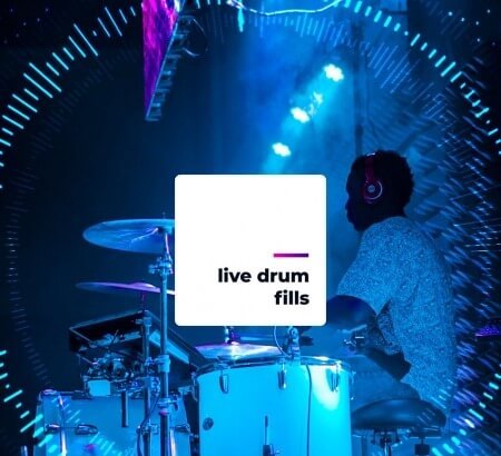 Diginoiz Live Drum Fills WAV